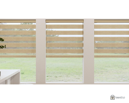 Vanguard Shade Zebra Dual Layer Shade, Cordless, Custom Cut - front view