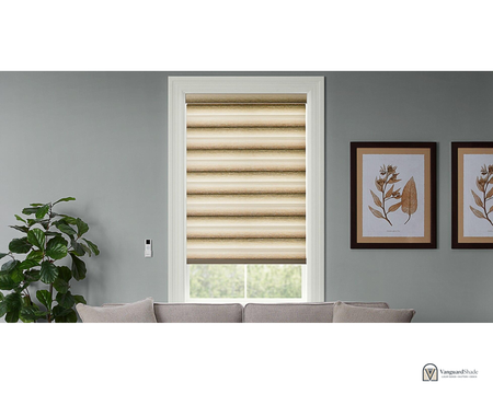 Vanguard Shade Motorized Zebra Shade, Rechargeable, Custom Cut - front view