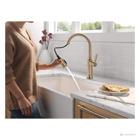 Namimera Pull-Down Kitchen Faucet with Stain-Resistant Finish, 1.8 GPM, Champagne Bronze - detail view