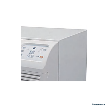 Air Dominion 9,000 BTU Through-the-Wall Heat Pump Air Conditioner, 208/230V - detail view