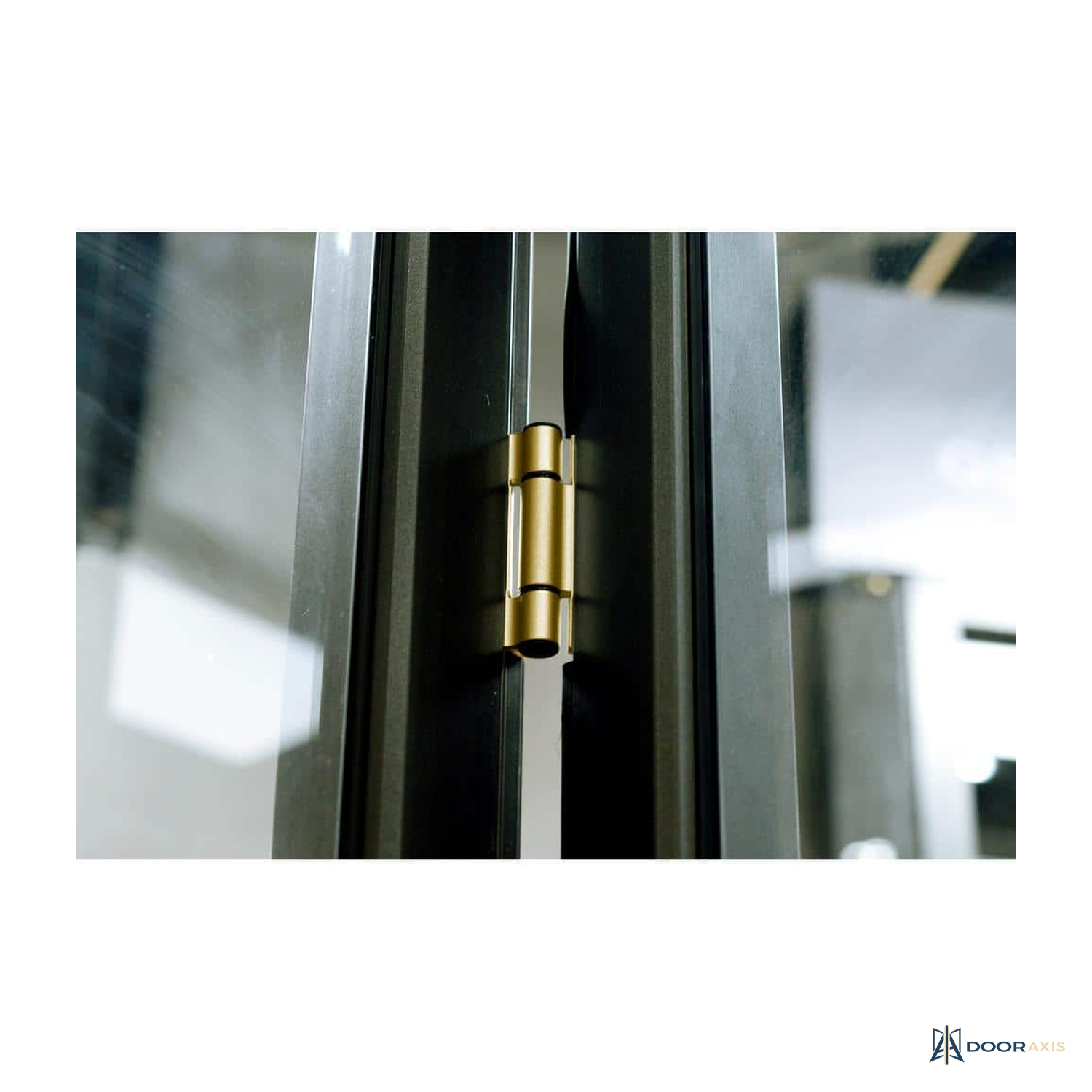 Door Axis Self-Closing Full Mortise Spring Hinge, 3-1/2 in Brass - panel and glazing detail