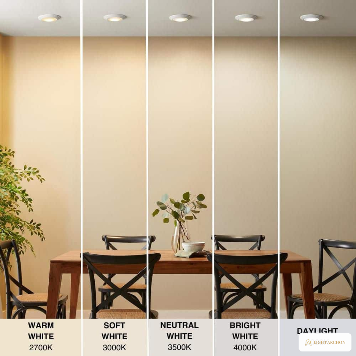 Light Archon Vela 6 in. Selectable CCT LED Surface Mount Disk Light - installed view