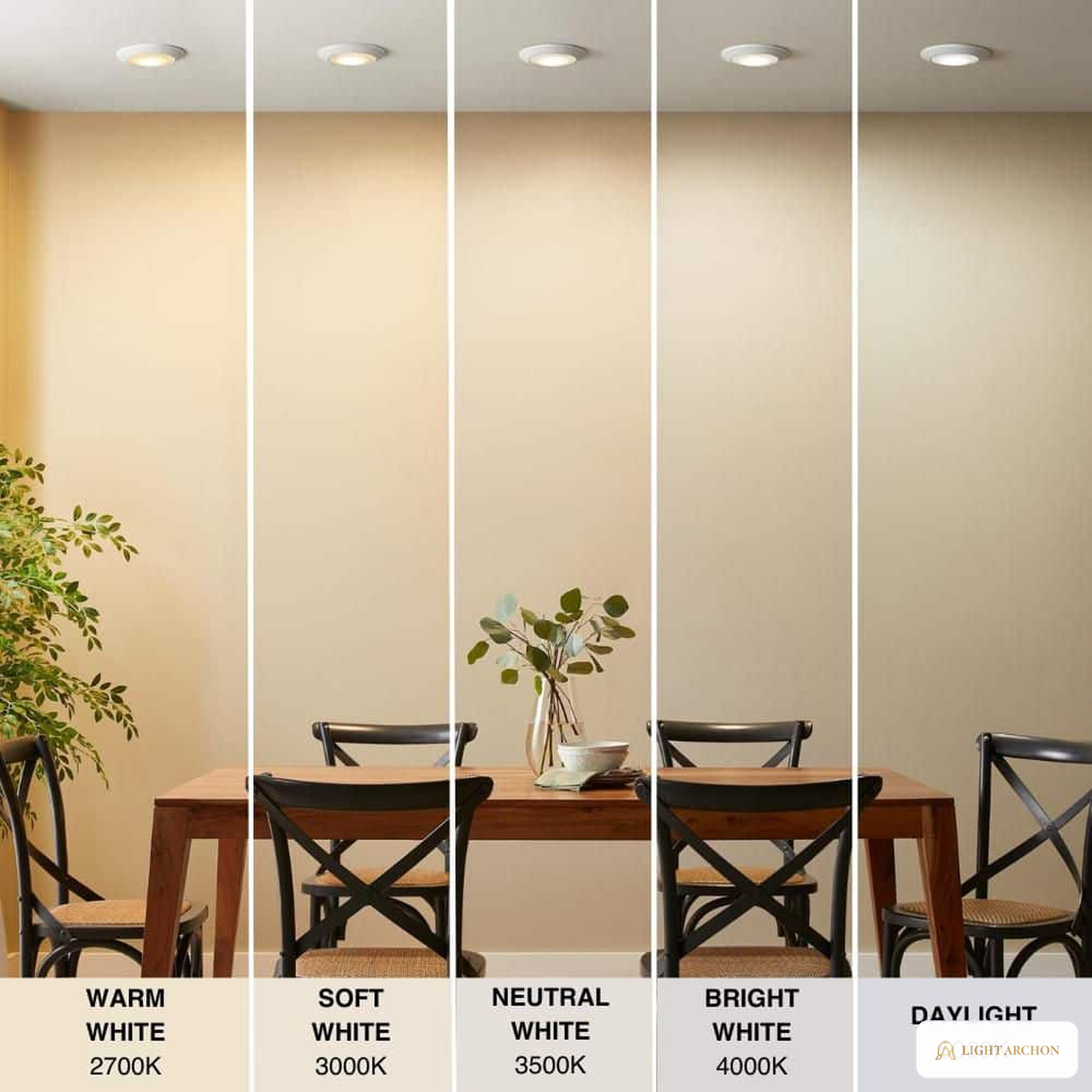 Light Archon Vela 6 in. Selectable CCT LED Surface Mount Disk Light - installed view