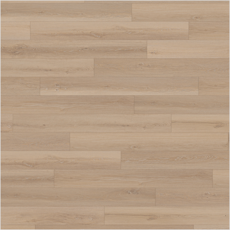 Lumber God 12 mm Dense Core Laminate Wood Flooring, Embossed in Register - Glacier finish swatch