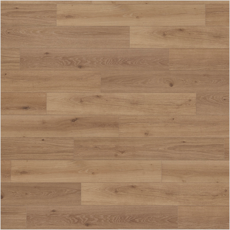 Lumber God 12 mm Dense Core Laminate Wood Flooring, Embossed in Register - Honey finish swatch