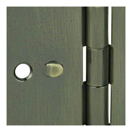 Door Axis Security Door Hinge with Safety Stud, Brass Finish - finish swatch