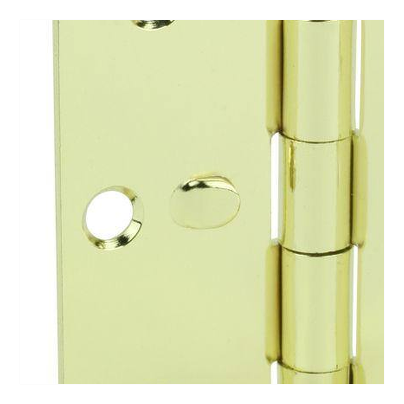 Door Axis Security Door Hinge with Safety Stud, Brass Finish - finish swatch