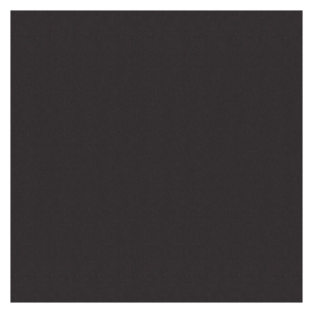Vanguard Shade Motorized Roller Shade, Rechargeable, Custom Cut - Anthracite Gray colorway swatch