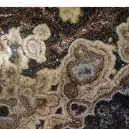 Prezio Stone Translucent Onyx Slab Program - bdo finish swatch