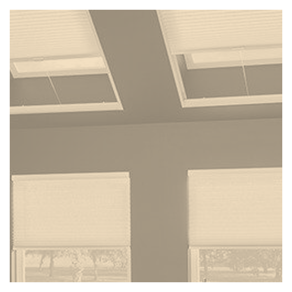 Vanguard Shade Skylight Cellular Shade, Light Filtering, Custom Cut - Biscuit colorway swatch