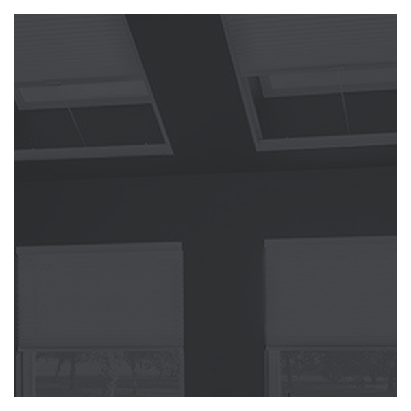 Vanguard Shade Skylight Cellular Shade, Light Filtering, Custom Cut - Graphite colorway swatch
