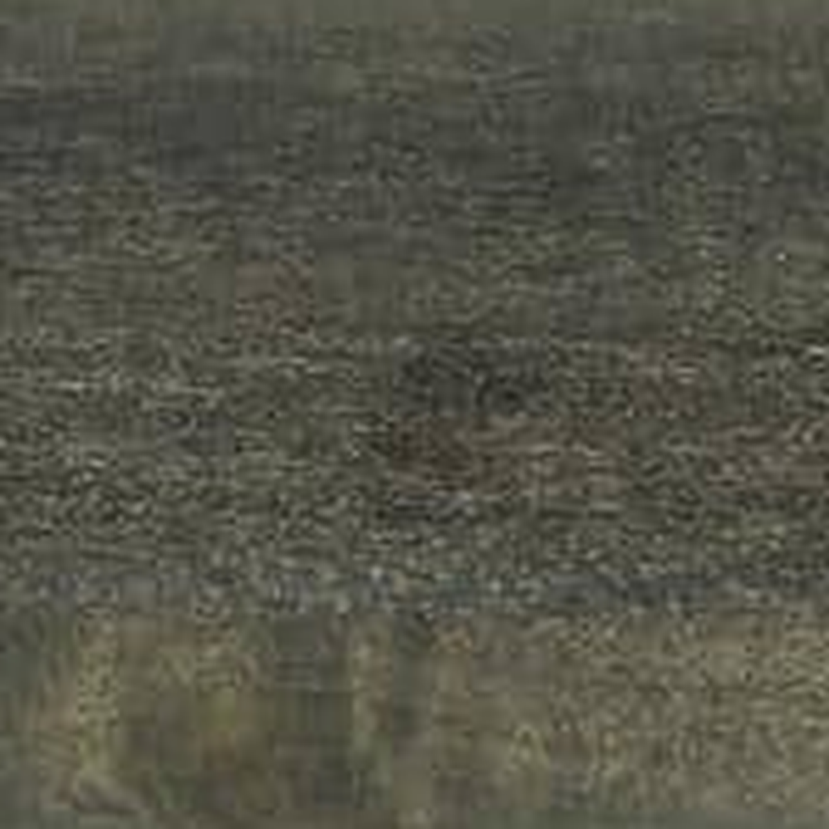 Vista Closet 96 in. Heavy-Duty Wood Closet Rod - gray finish swatch