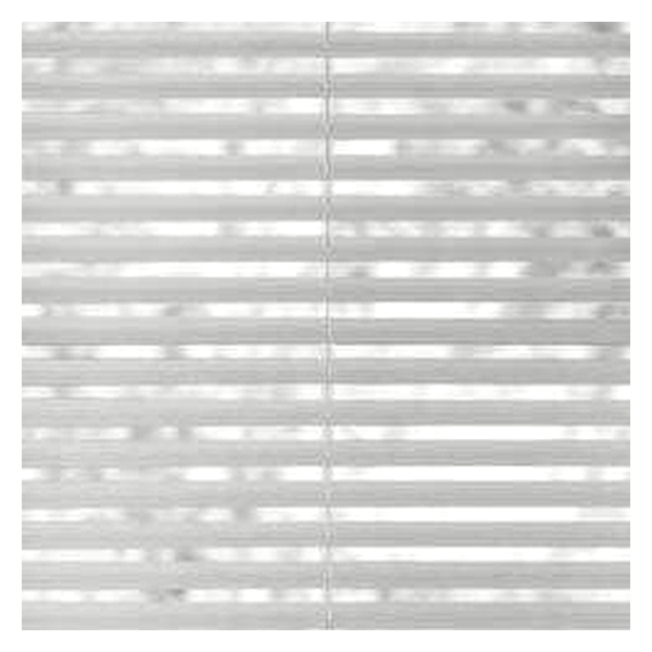 Vanguard Shade 2 in. S-Curve Composite Blind, Custom Cut Width - White colorway swatch